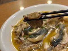 -9号小厨师(端平桥店)