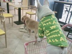 -汪说·狗咖(旺城大厦店)