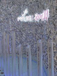 点击看大图 -深圳美莱医疗美容医院