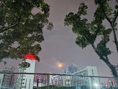 -广西大学(大学东路校区)