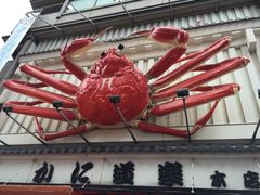 -蟹道乐(道顿堀本店)