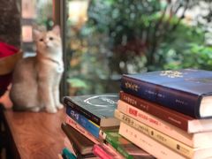 -咖法森林·咖啡  酒吧(天河店)