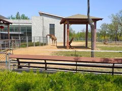 -石家庄市动物园