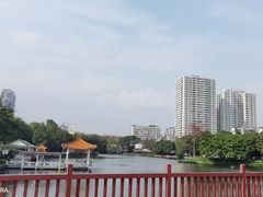 -荔湾湖公园