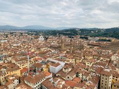 -圣母百花大教堂穹顶