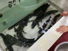 -老四川平头酸菜鱼(衙前店)
