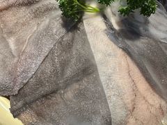 -赵家院子佬火锅(重庆总店)