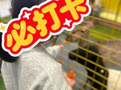 -丽达购物中心(崂山店)
