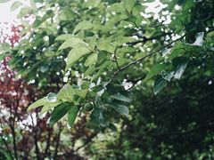 -毛泽东同志旧居