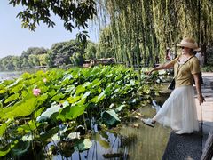 -楼外楼(西湖景区孤山路店)