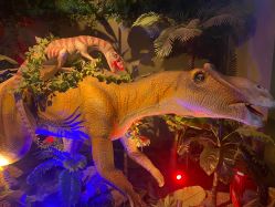 -恐龙探索乐园(磁器口店)