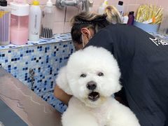 -FAELING PETS美天灵宠物(富力广场店)