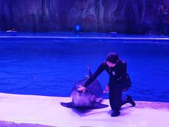 -华夏文旅海洋公园