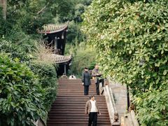 -峨眉山报国寺