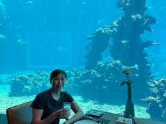 -海棠湾洲际-涛·海底餐厅·美人鱼·自助餐·海底隧道