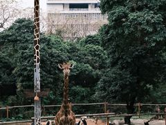 -深圳野生动物园