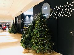 -乐蓬马歇百货公司(Rive Gauche)