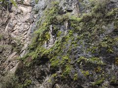 -牛背梁国家森林公园