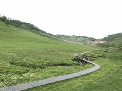 -关山草原