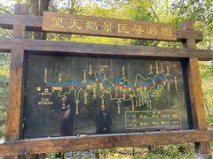 -望天鹅景区
