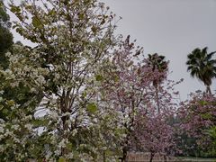 -大洋家·精品潮汕菜·生腌砂锅粥(天河东路店)