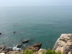 -广东惠东海龟国家级自然保护区