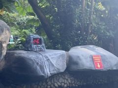 -台山颐和温泉城