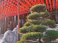 -香积寺