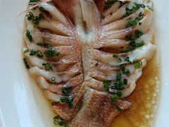 -骏莱海鲜鱼港(五角场店)