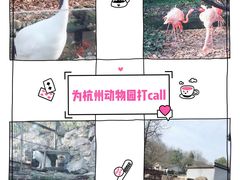 -杭州动物园