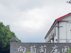 -向葡萄庄园