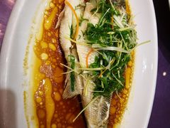 清蒸鲈鱼-花样宴荟(旺城店)