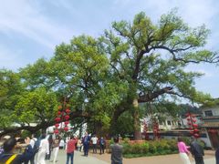 -新安江山水画廊风景区
