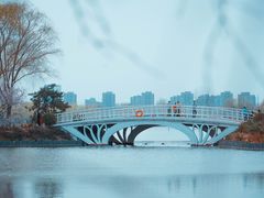 -大兴滨河森林公园