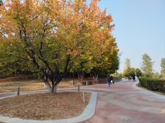 -莫子山公园