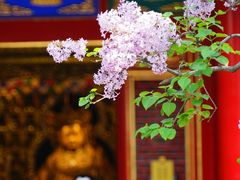 -西安市广仁寺