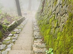 -莫干山风景区