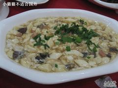 豆腐-舒蔡记生煎菜饭(云南中路店)