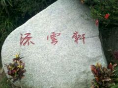 android_upload_pic-三亚亚龙湾人间天堂鸟巢度假村