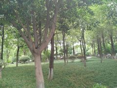 -西南政法大学(渝北校区)