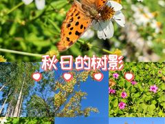 -白鹭湾湿地公园