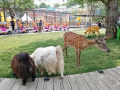 -北京鹿世界主题园