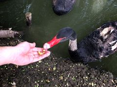 -长兴太湖图影湿地文化园
