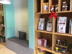 -雨林宠物医院 非犬猫异宠专科