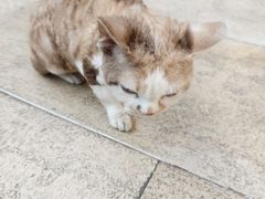 -西安大唐西市博物馆