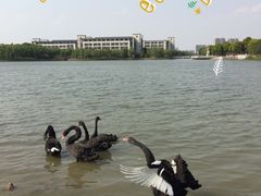-江南大学(蠡湖校区)