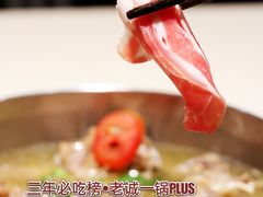 -浩爷羊蝎子火锅(望京店)