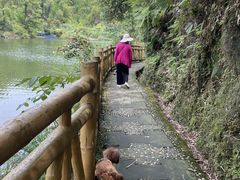 -沐川竹海旅游景区