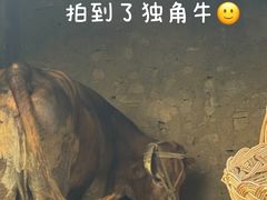 -红嫂家乡旅游区