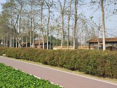 -夏河溪乡野公园